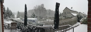 20150124-IPHONE6-IMG_1873